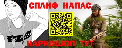 стафф Пенза