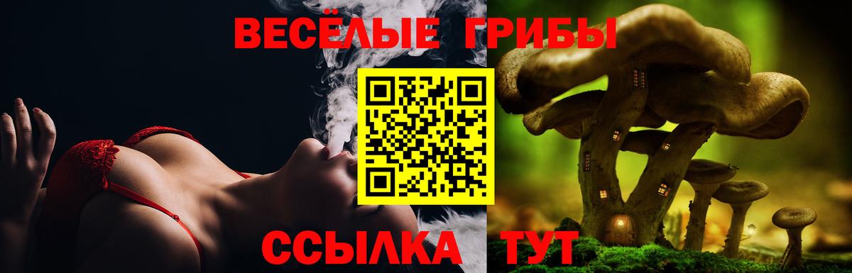 Галлюциногенные грибы Cubensis  где купить наркоту  Ставрополь  Псилоцибиновые грибы Magic Shrooms  Вход с VPN 